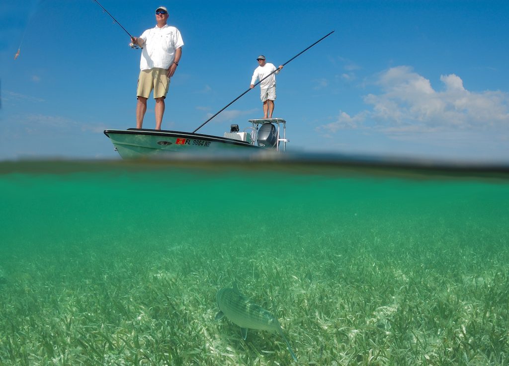 What Activities Can You Do In Biscayne National Park?